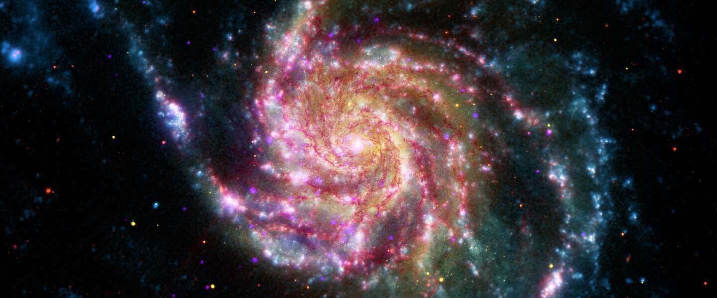 Amateur sterrenkijker spot supernova
