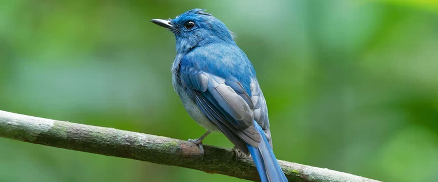 5 redenen om nu nog met Twitter te beginnen