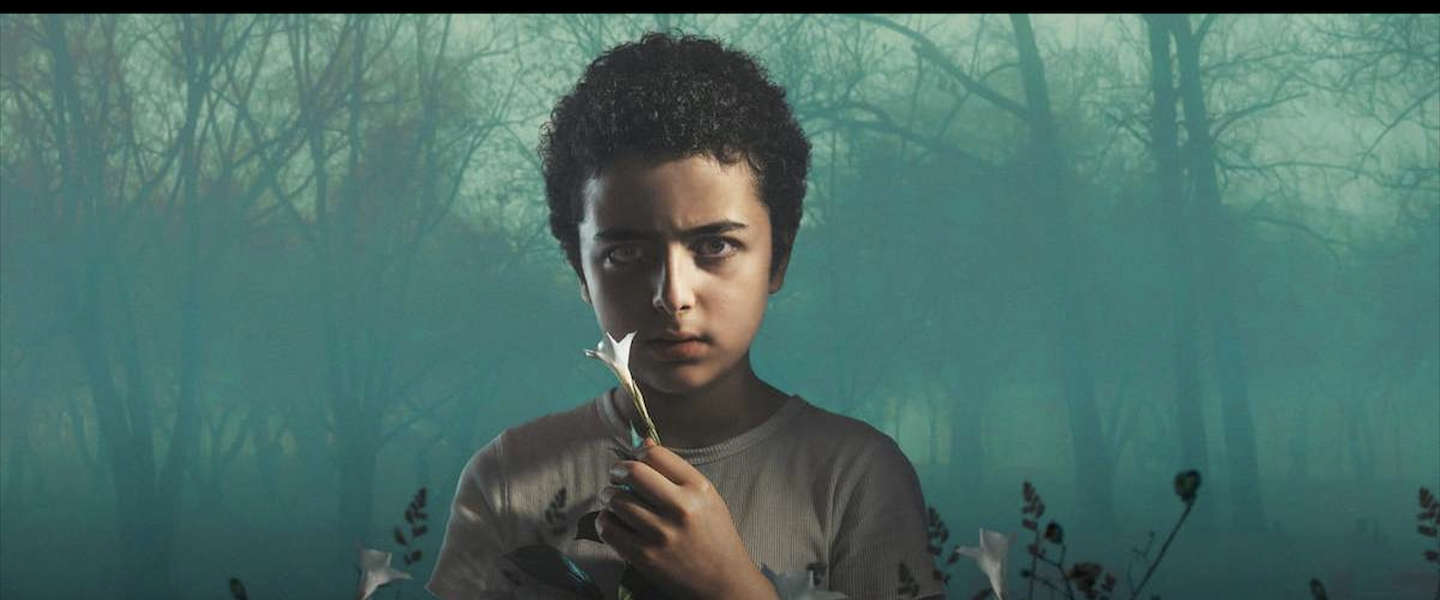The Sinner seizoen twee te zien vanaf 9 november