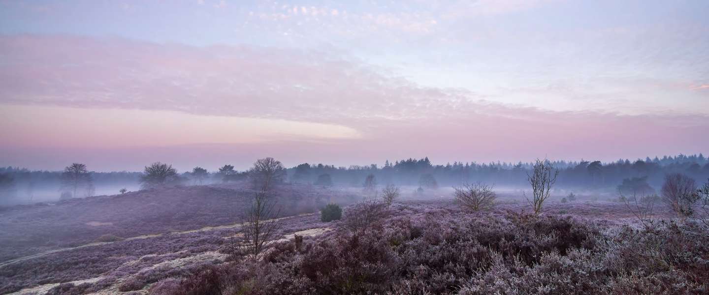 Geweldige timelapse video van ons prachtige Nederland