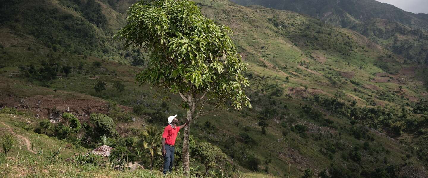 ​Koop een boom bij Treedom en maak de wereld een stukje beter