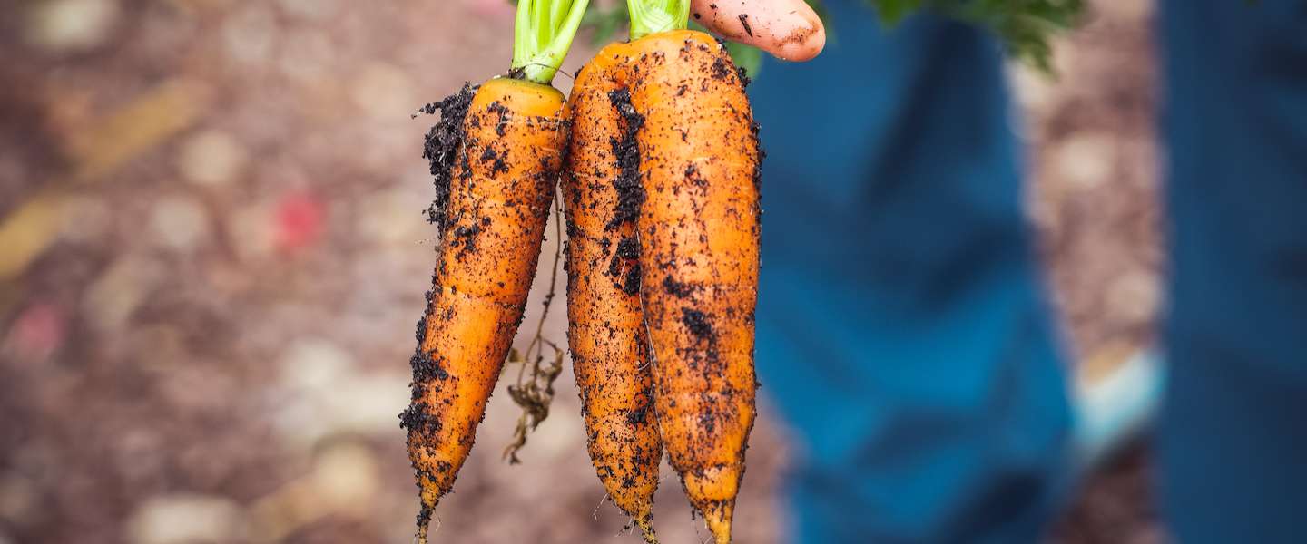 De Vegetarische Slager is overgenomen door Unilever