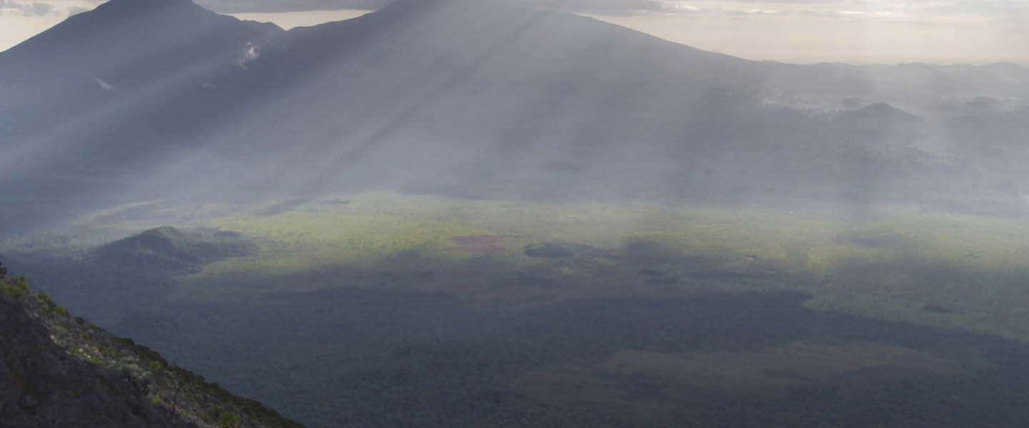 Netflix verkrijgt documentaire Virunga