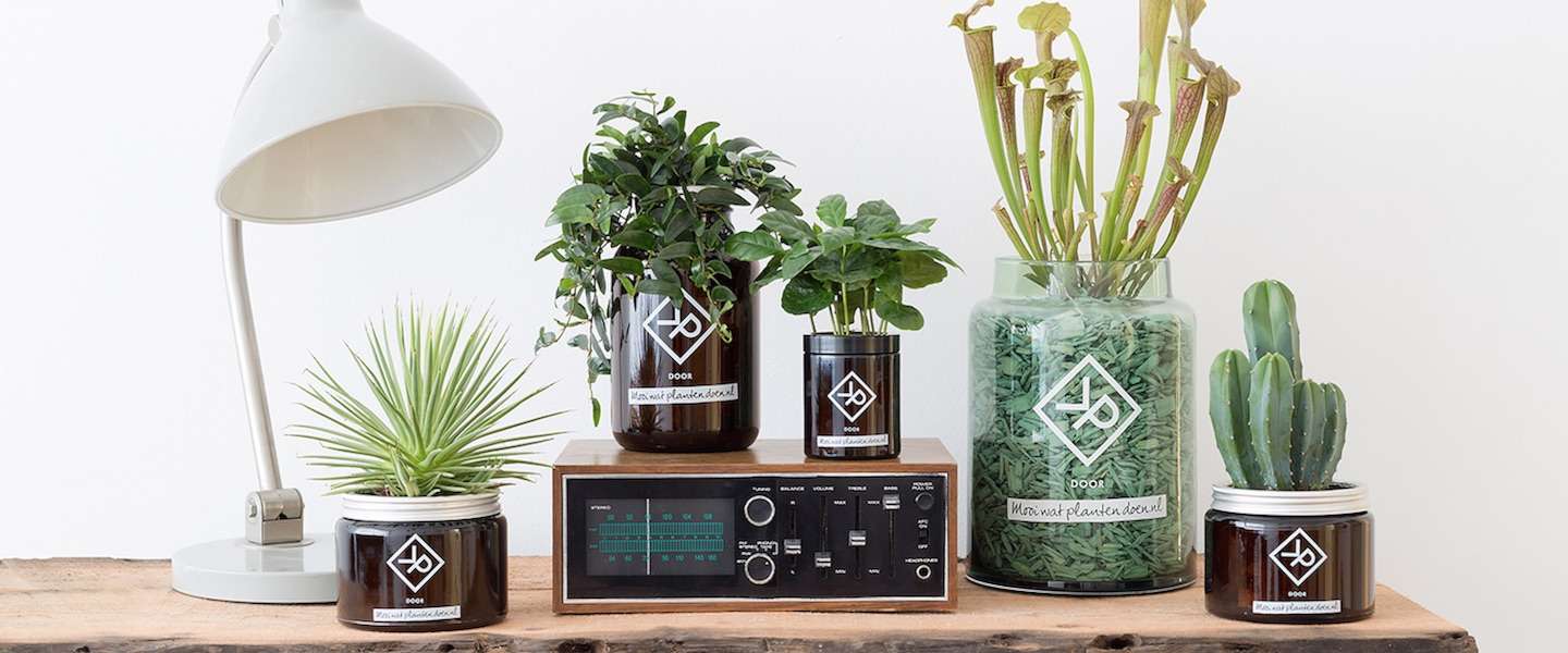 Vitamine Plant For Men maakt elke man cave onweerstaanbaar