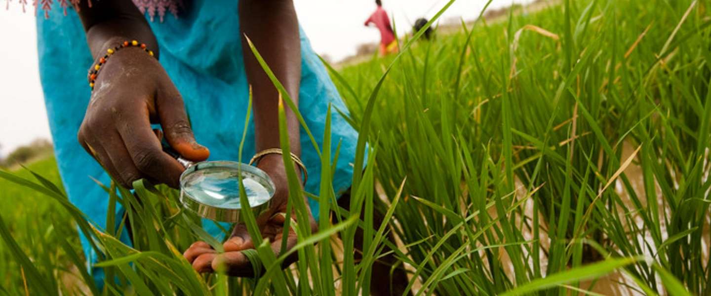 Waterwatch Cooperative helpt kleine boeren connected te blijven