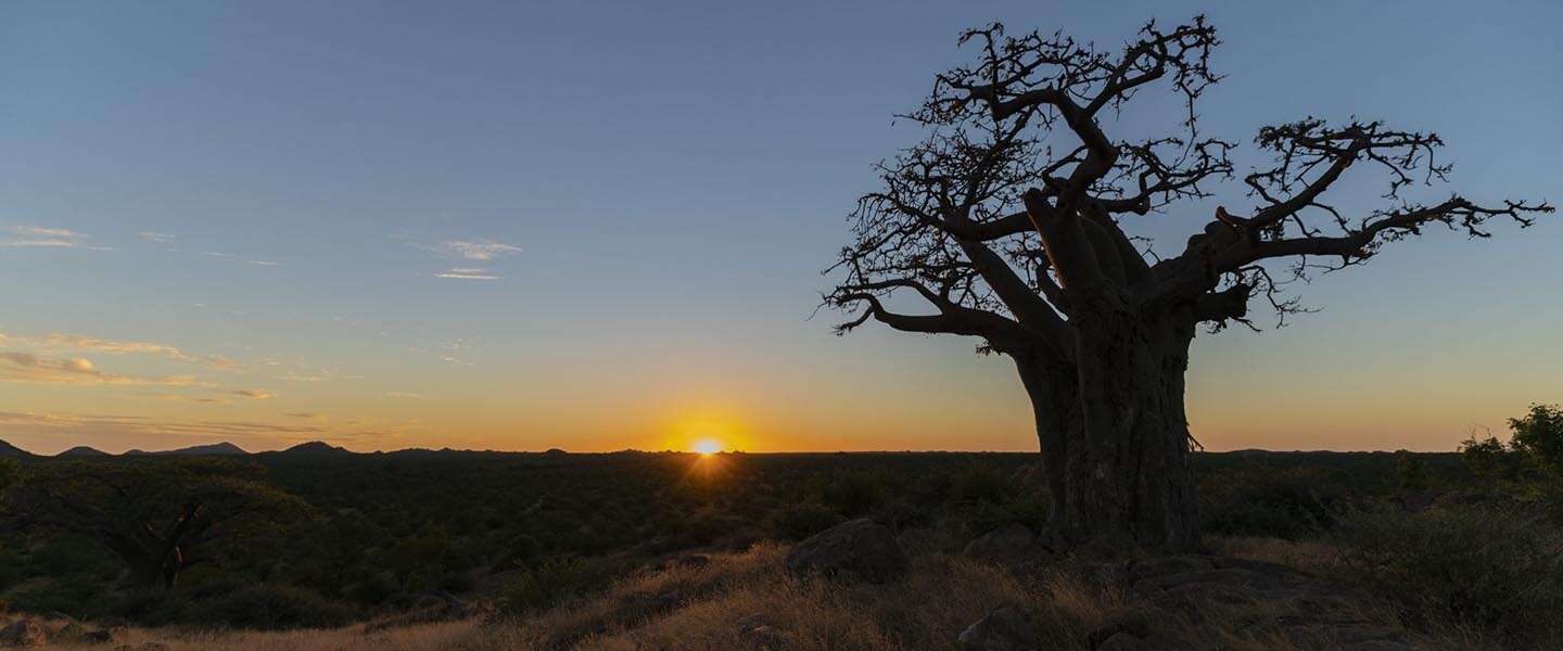 Central Tuli​ is het eerste slimme wildpark in Botswana