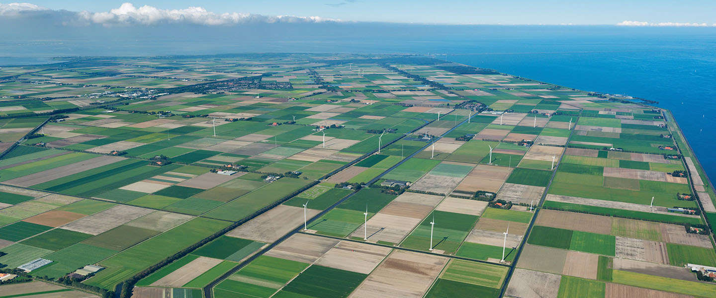 Gigantische datacenters Microsoft en Google: 'De cloud staat in Nederland'