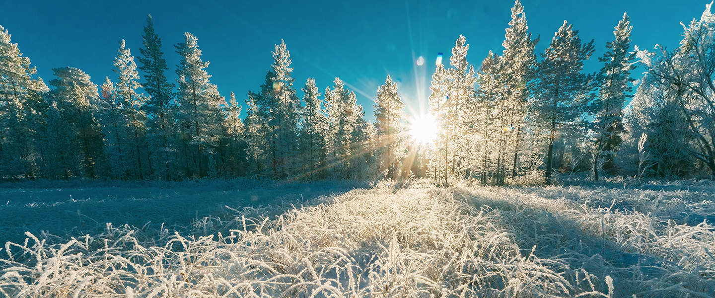 Google Travel Monitor: kerstshoppen in Londen en de winterzon in Spanje