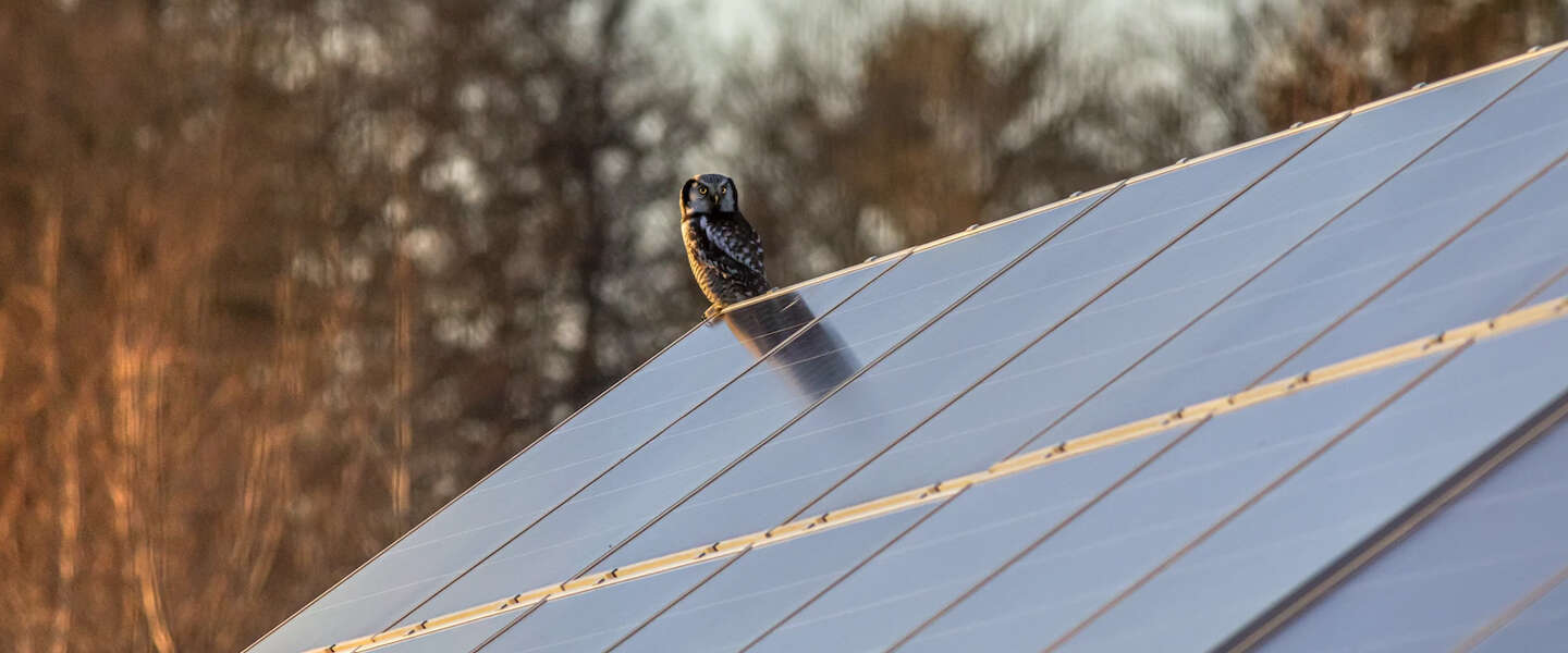 ​Zonnepanelen kosten je straks tientallen euro’s per maand meer
