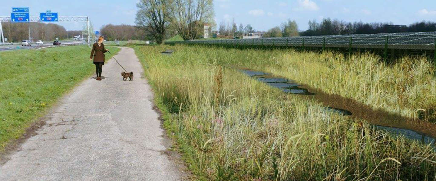 Het grootste zonnepark van Brabant komt te liggen in Roosendaal
