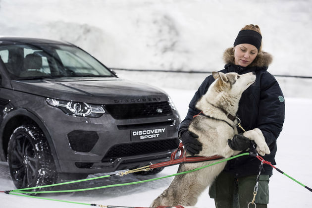 Land-Rover-hores-power-vs-dogpower-3