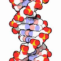 1098036522DNA-icon