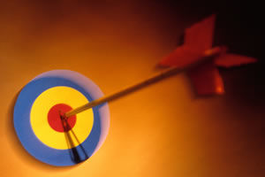 1100505439search-engine-ranking