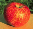1100547937clip_image001