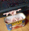 1104226960spam4