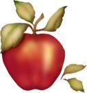 1107195341apple