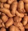1109236130aardappel