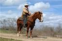 1109279782cowboys
