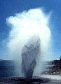 1113404572Geyser