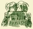 1114254048krant