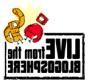 1127112838blogreversed