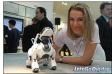 1131012964aibo