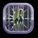 1145884644virus bloggers