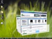 1149160827VistaCascadeWindows