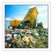 1155200061waste