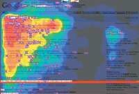 1163020403Eyetracking-Golden Triangle