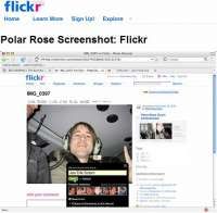 1174286675FLickr foto polarrose