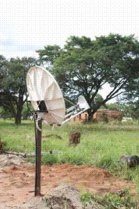 1179496628zambia