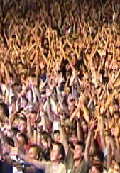 1179505444crowd