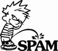 118103107920061116-spam