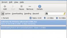5 'memorabele' Torrent bestanden