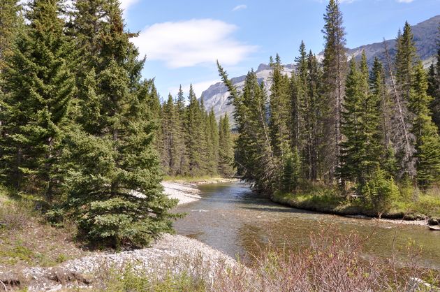 alberta-canada-3