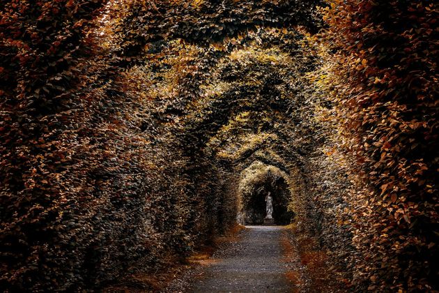 alley-at-birr-castle-vladimir-polivanov