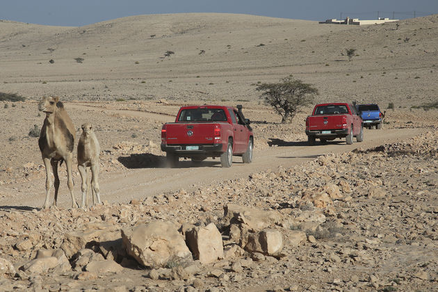 Amarok_Adventure_Oman_henkdehooge_12