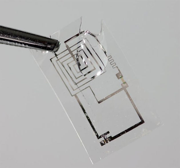 bio-battery