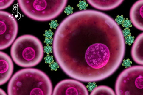 Biophilia_virus1