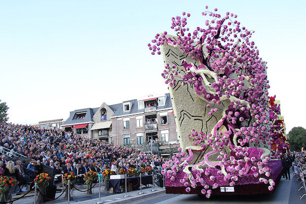 Bloemencorso_8