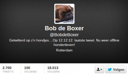 bob-de-boxer