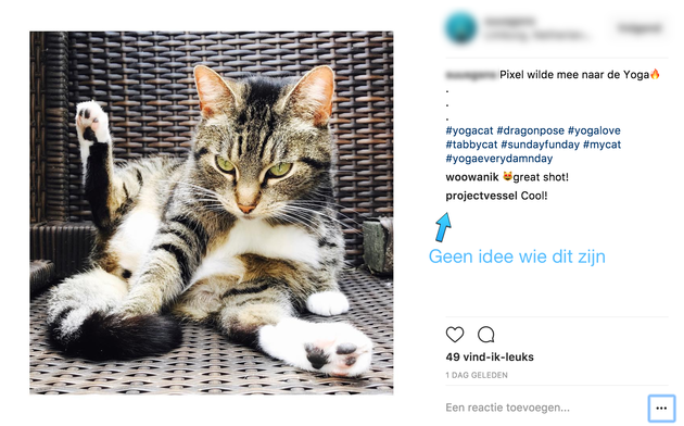 bot-volgers-instagram-voorbeeld
