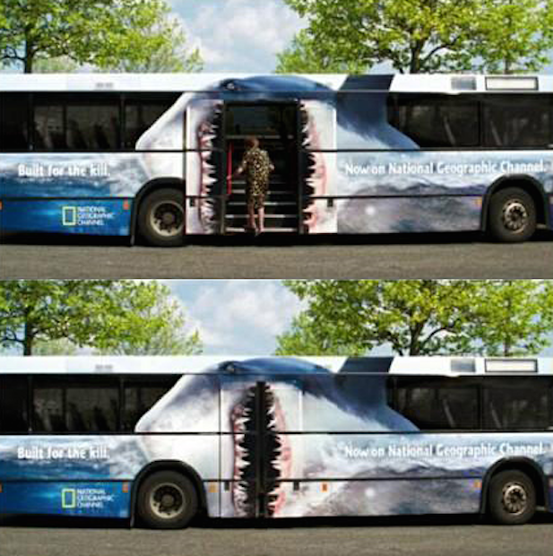 bus-15