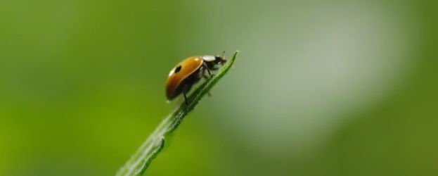 Campagne Triodos bank laat mensen nadenken over (economische) groei