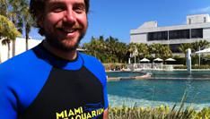 Cowboys zwemmen met Dolfijnen en Krokodillen in Miami