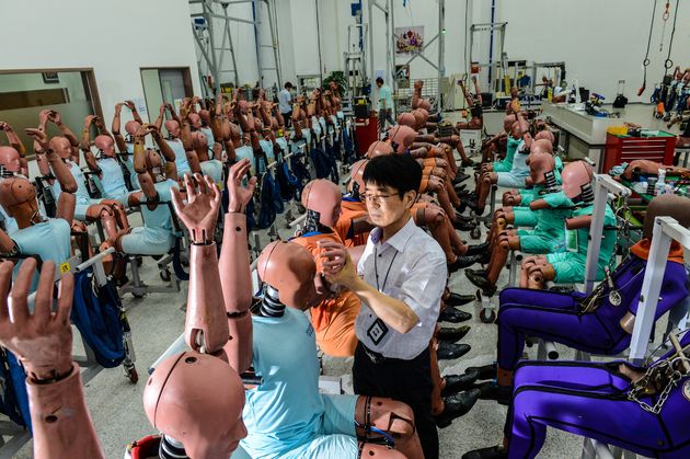 Crash Test Dummy (6)