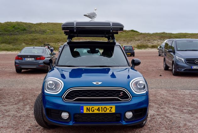 daktent-mini-countryman-meeuw