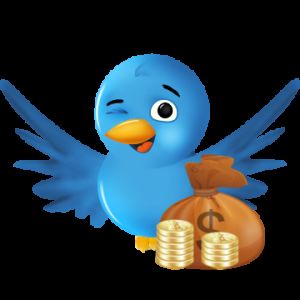 De voordelen van Twitter volgers kopen