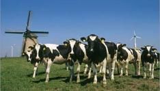 DutchCowboys lanceert Dutch Startups